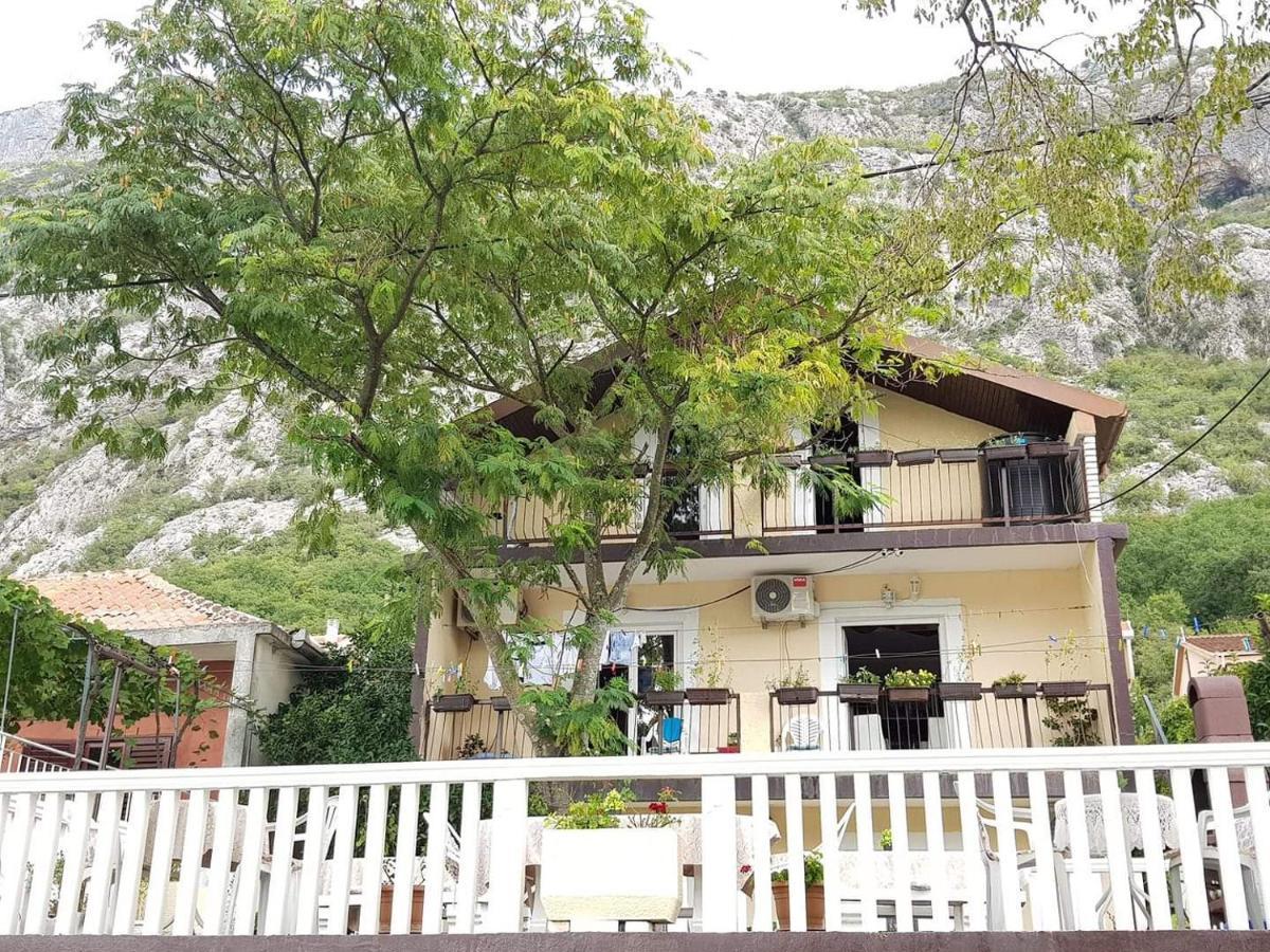 Montenegro Apartments - Private Beach Kotor Ngoại thất bức ảnh