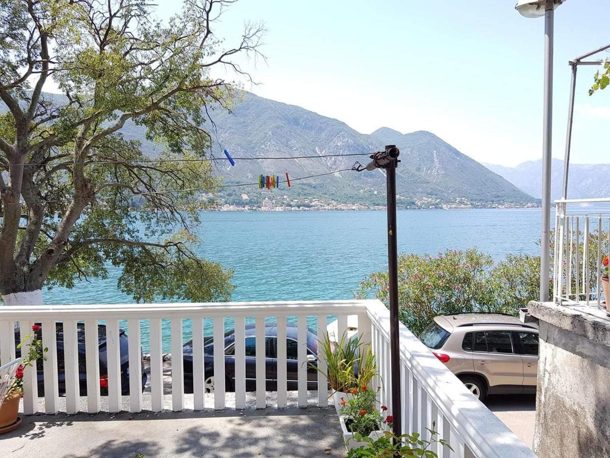 Montenegro Apartments - Private Beach Kotor Ngoại thất bức ảnh