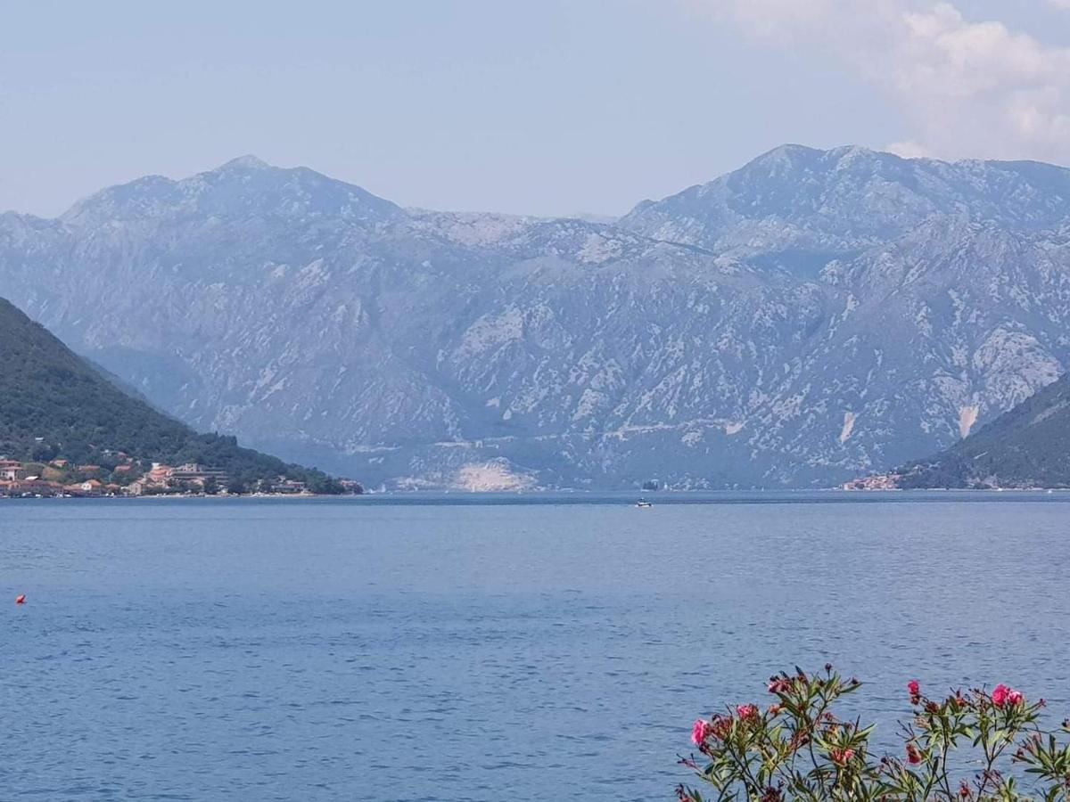 Montenegro Apartments - Private Beach Kotor Ngoại thất bức ảnh