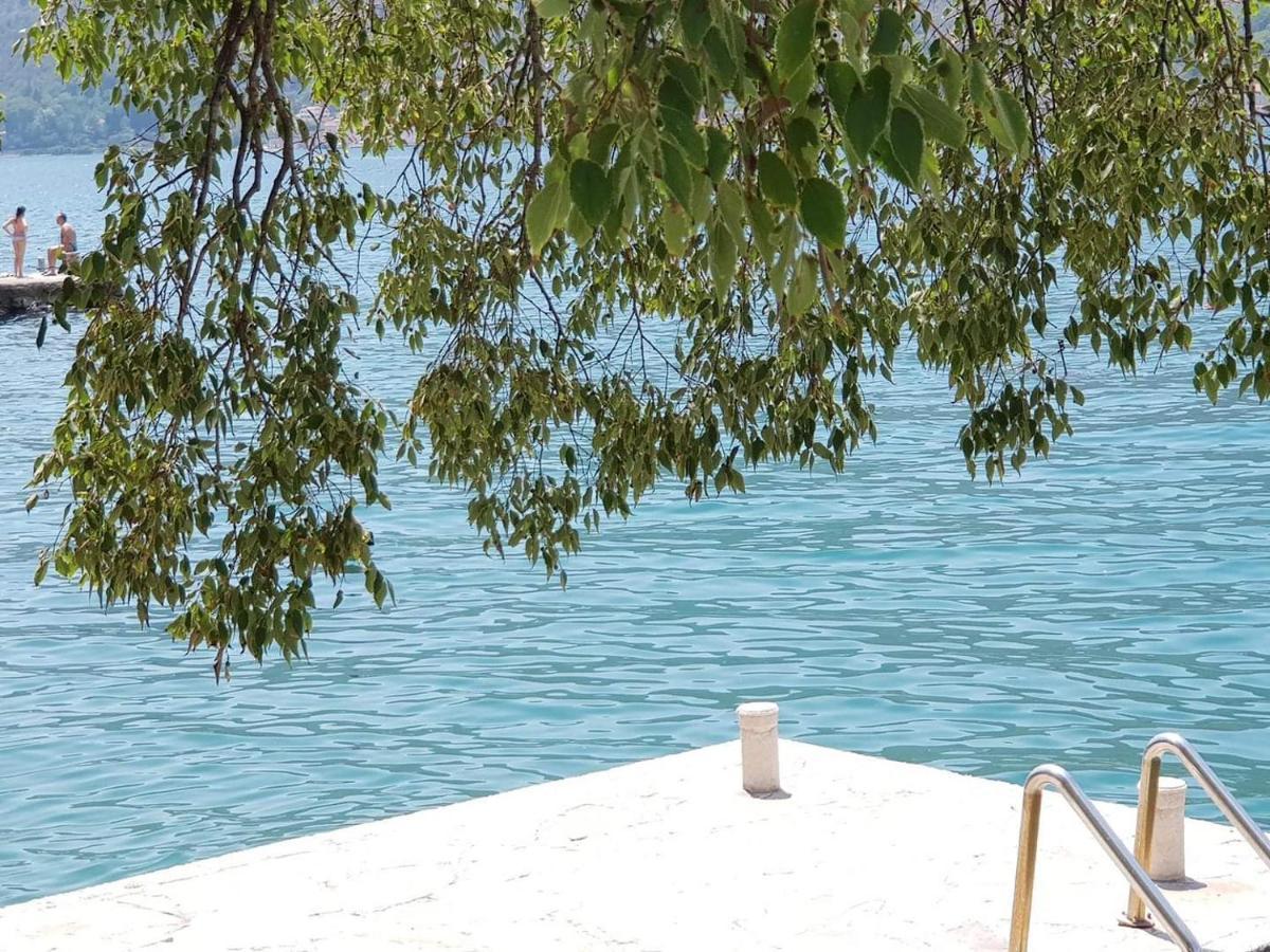 Montenegro Apartments - Private Beach Kotor Ngoại thất bức ảnh