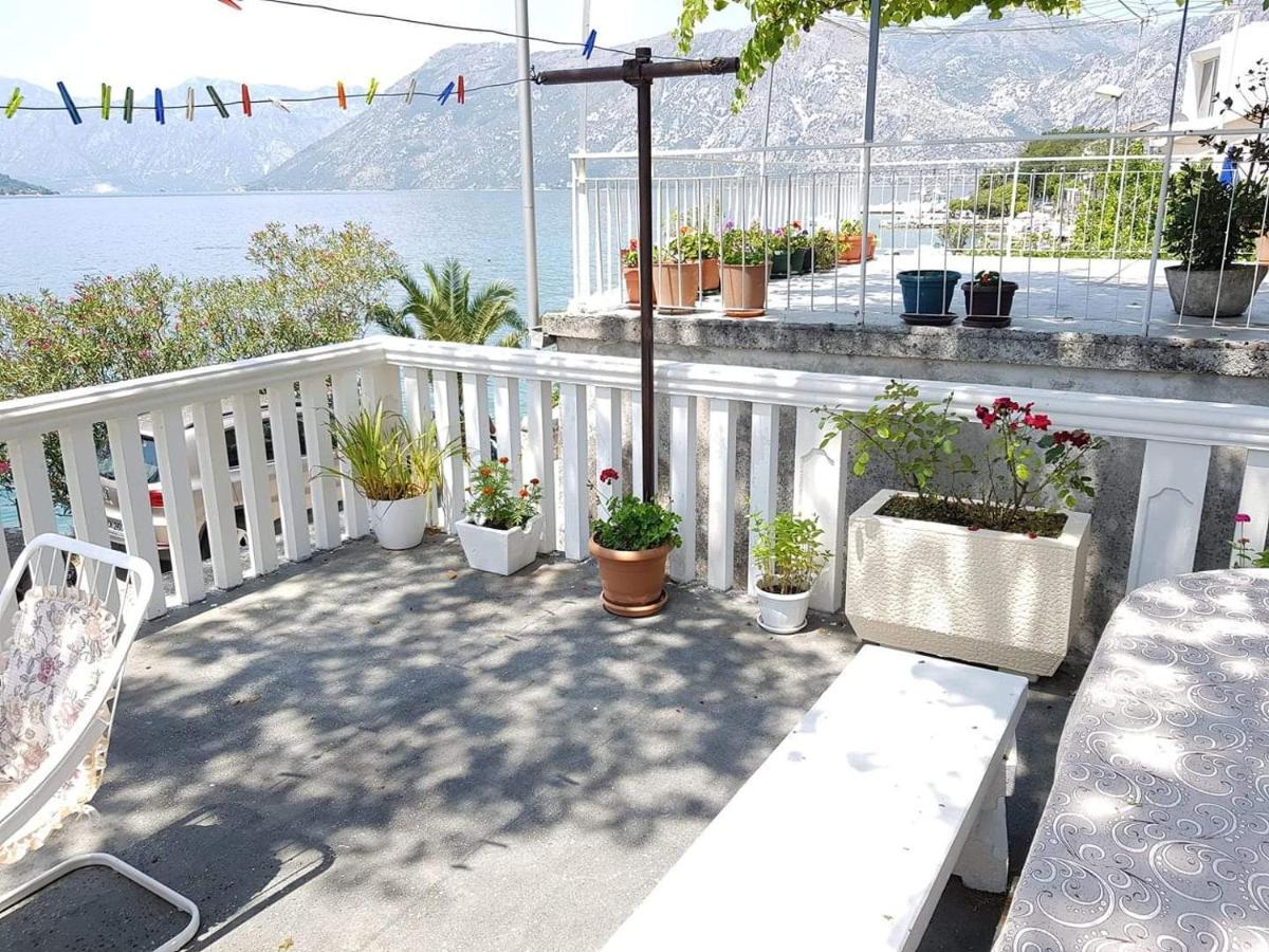 Montenegro Apartments - Private Beach Kotor Ngoại thất bức ảnh