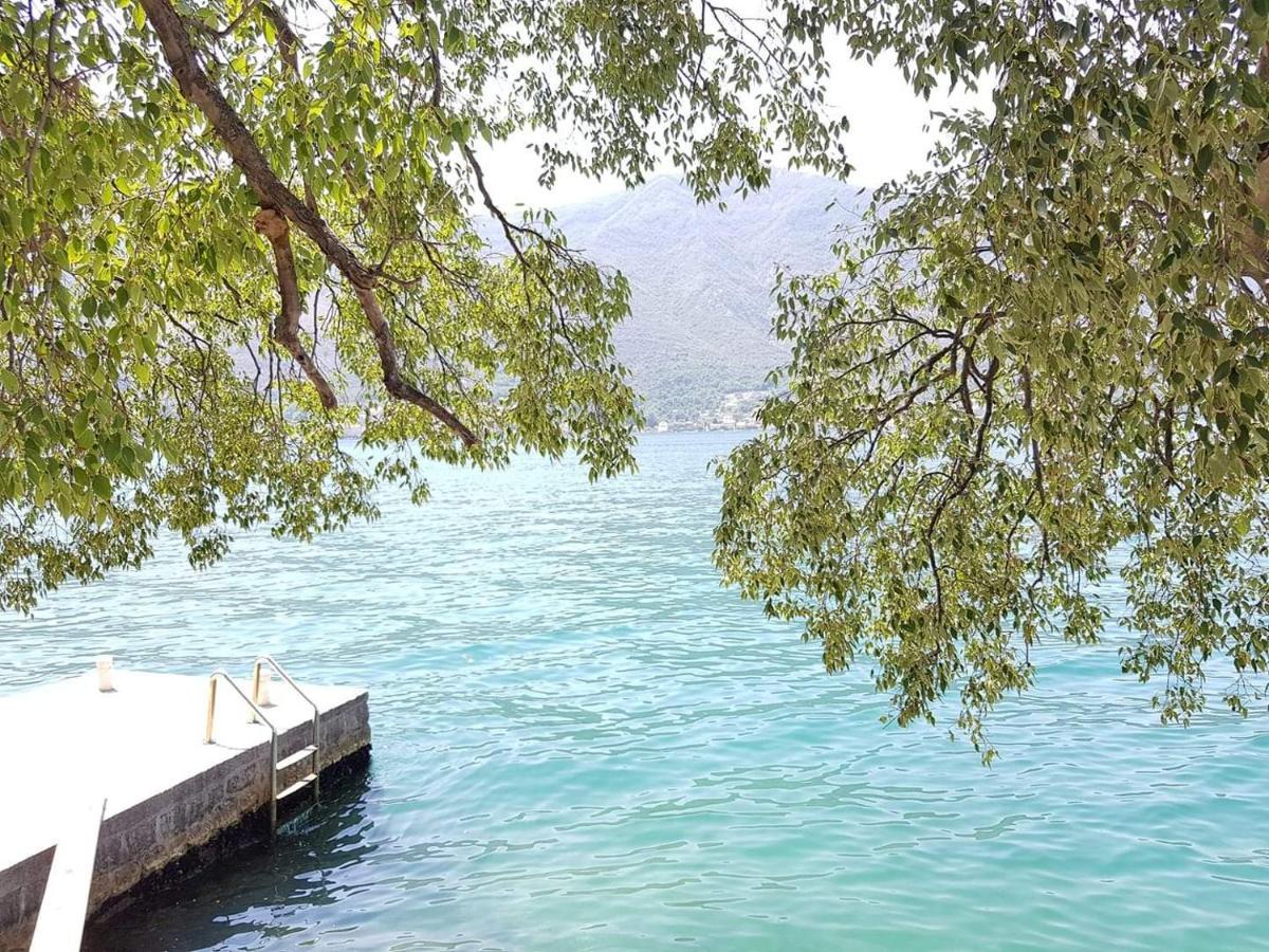 Montenegro Apartments - Private Beach Kotor Ngoại thất bức ảnh