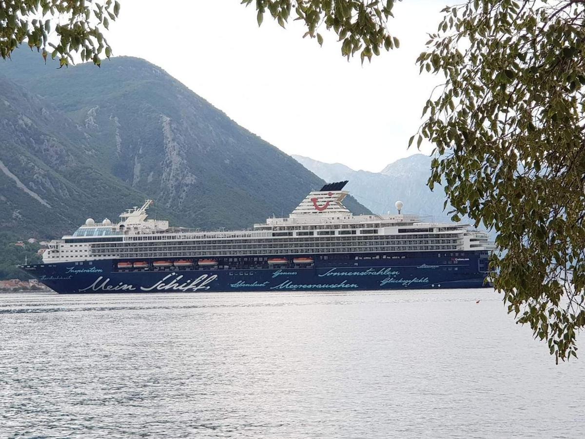 Montenegro Apartments - Private Beach Kotor Ngoại thất bức ảnh