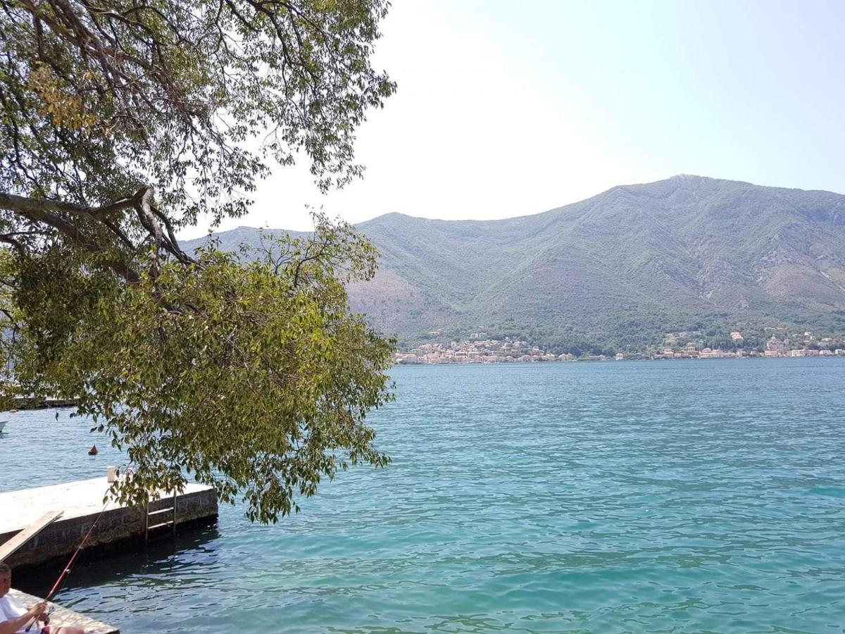 Montenegro Apartments - Private Beach Kotor Ngoại thất bức ảnh
